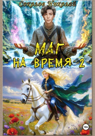 Николай Александрович Соколов. Маг на ВРЕМЯ 2. Дикие Баронства.