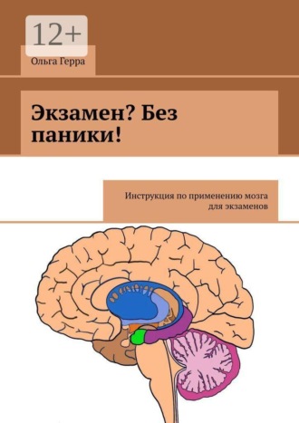 Экзамен? Без паники! Инструкция по применению мозга для экзаменов. Ольга Герра