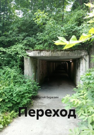 Сергей Березин. Переход