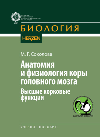 Анатомия и физиология коры головного мозга. Высшие корковые функции. М. Г. Соколова