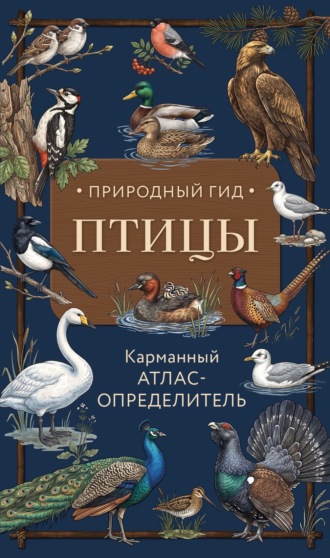 Птицы. Карманный атлас-определитель. 