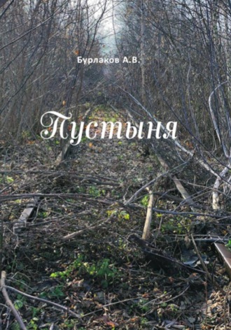 Алексей Бурлаков. Пустыня