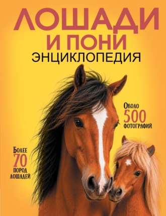 А. А. Спектор. Самая лучшая иллюстрированная энциклопедия. Лошади и пони