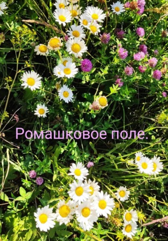 Ромашковое поле. Римма Хамзина