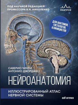 Антонио Джордано. Нейроанатомия. Иллюстрированный атлас нервной системы