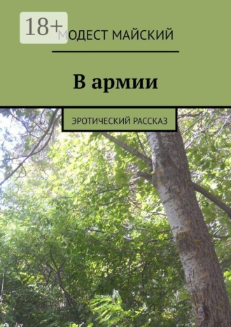 Модест Майский. В армии. Эротический рассказ