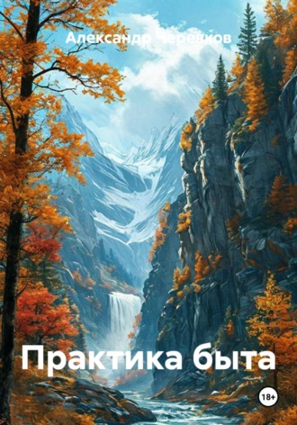 Александр Черевков. Практика быта