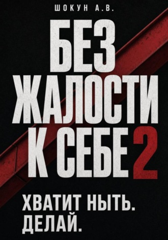 Шокун Алексей. Без Жалости к Себе 2. Хватит Ныть. Делай.