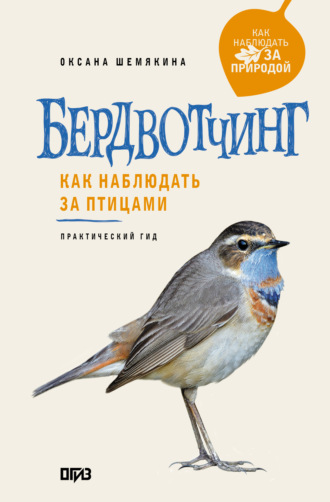 Бердвотчинг. Как наблюдать за птицами. Практический гид. Оксана Шемякина