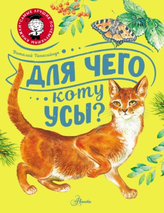 Виталий Танасийчук. Для чего коту усы?