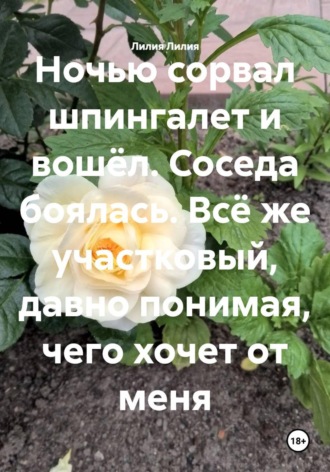 Ночью сорвал шпингалет и вошёл. Соседа боялась. Всё же участковый, давно понимая, чего хочет от меня. Лилия Лилия