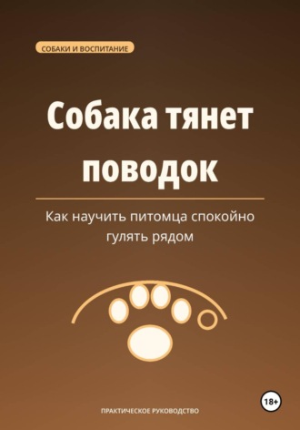 Максим Ветров. Собака тянет поводок — как научить питомца спокойно гулять рядом