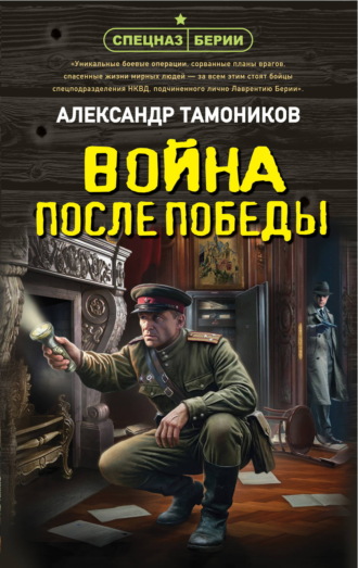 Война после победы. Александр Тамоников