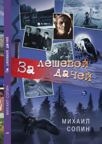 За лешевой дачей. Михаил Сопин