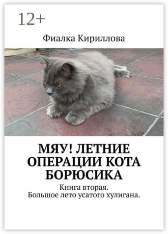 Фиалка Кириллова. Мяу! Летние операции кота Борюсика. Книга вторая. Большое лето усатого хулигана.