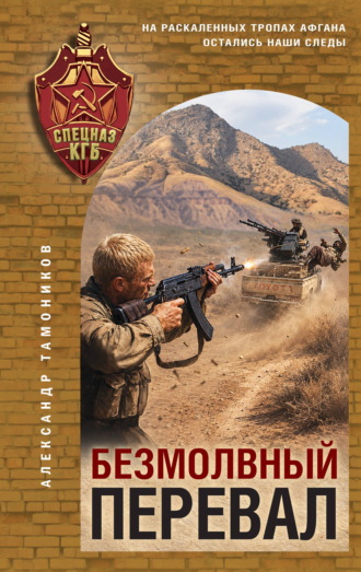 Александр Тамоников. Безмолвный перевал