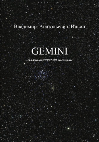 GEMINI. Эссеистическая новелла. Владимир Ильин