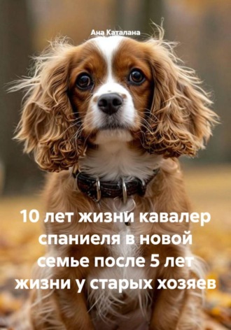 Ана Каталана. 10 лет жизни кавалер спаниеля в новой семье после 5 лет жизни у старых хозяев