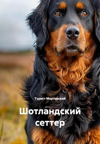 Турист Мартовский. Шотландский сеттер