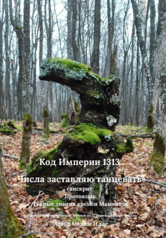 Мадим Илле. Код Империи 1313. «Числа заставляю танцевать» — санскрит. Протоязык. Тайные знания времён Мамонтов