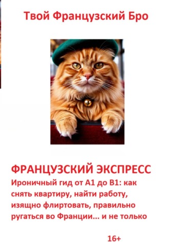 Твой Французский Бро. Французский экспресс: Ироничный гид от А1 до В1: как снять квартиру, найти работу, изящно флиртовать, правильно ругаться во Франции... и не только