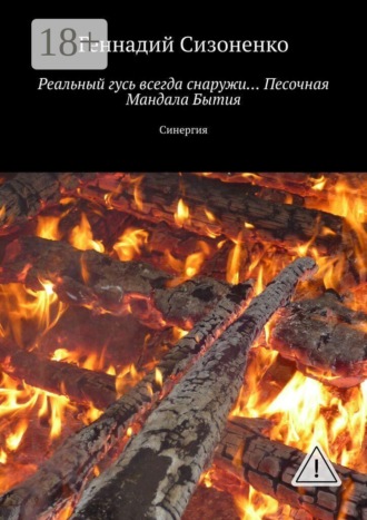 Геннадий Сизоненко. Реальный гусь всегда снаружи… Песочная Мандала Бытия. Синергия