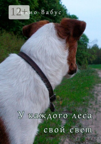 Гелио Вабус. У каждого леса свой свет