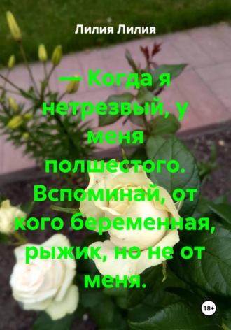Лилия Лилия. — Когда я нетрезвый, у меня полшестого. Вспоминай, от кого беременная, рыжик, но не от меня.