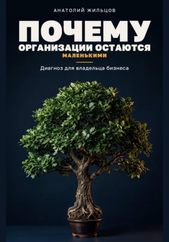 Анатолий Жильцов. Почему организации остаются маленькими