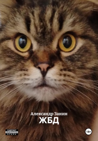 Александр Занин. ЖБД
