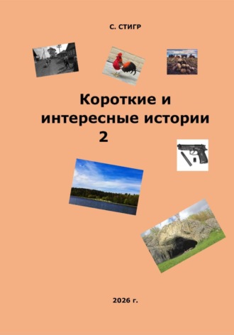 Короткие и интересные истории 2. Рашид Габдуллин