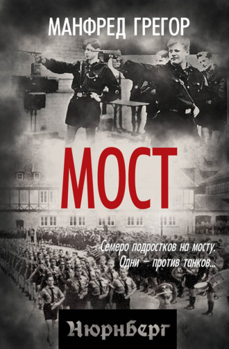 Манфред Грегор. Мост