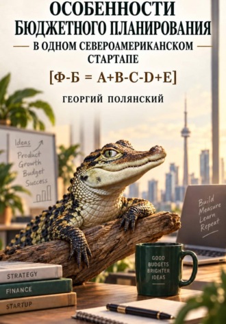 Особенности бюджетного планирования в одном североамериканском стартапе. 