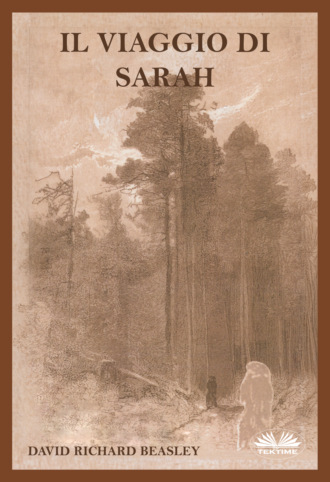 Il Viaggio Di Sarah. David Richard Beasley