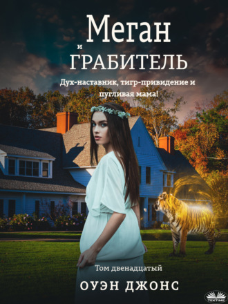 Оуэн Джонс. Меган И Грабитель