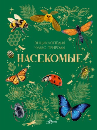 Насекомые. А. Г. Ярович