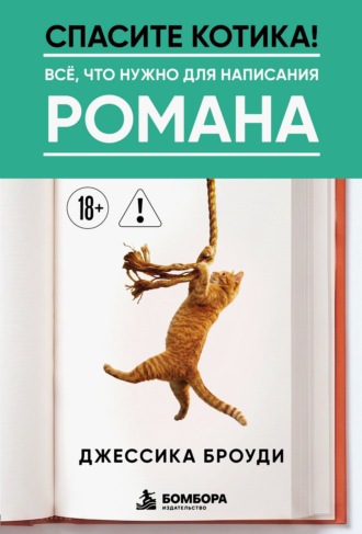 Спасите котика! Всё, что нужно для написания романа. Джессика Броуди