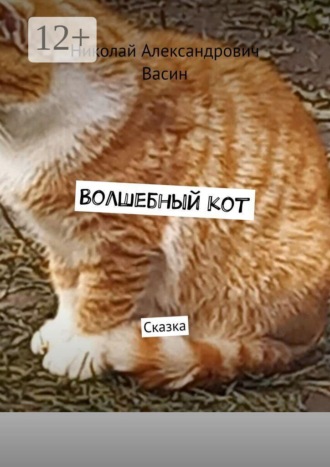 Волшебный кот. Сказка. 