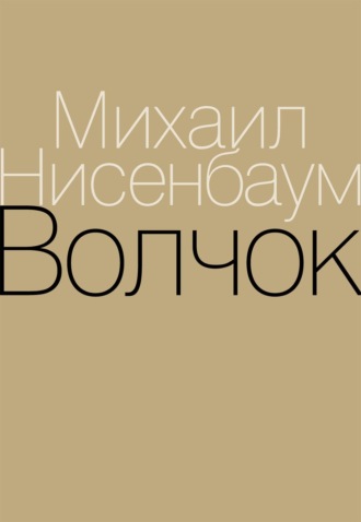 Волчок. Михаил Нисенбаум