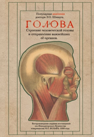 Голова. Строение человеческой головы и отправления важнейших её органов. Эдуард Оскар Шмидт