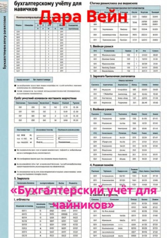 «Бухгалтерский учёт для чайников». Дара Вейн