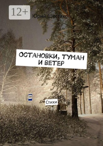 Юрий Шестаков. Остановки, туман и ветер. Стихи