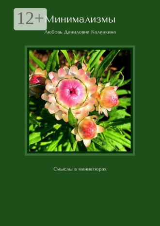 Любовь Даниловна Калинкина. Минимализмы. Смыслы в миниатюрах