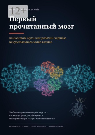 Игнатий Андреевич Кокалевский. Первый прочитанный мозг. Коннектом мухи как рабочий чертёж искусственного интеллекта