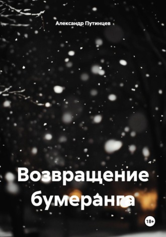 Возвращение бумеранга. Александр Путинцев