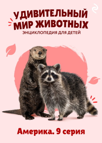 Удивительный мир животных. Америка. 9 серия. 