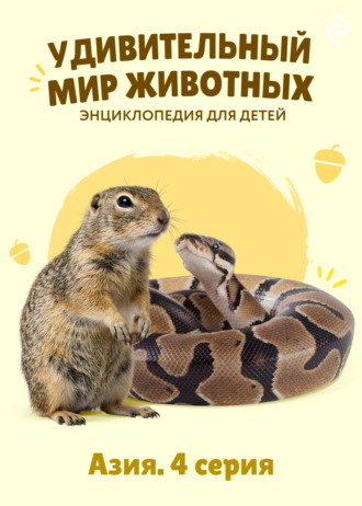 Наталия Баранова. Удивительный мир животных. Азия. 4 серия