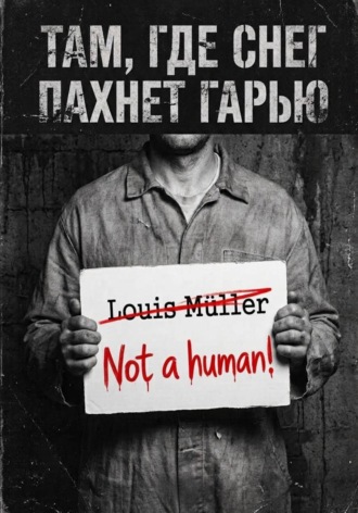 Анель Ашимова. Там, где снег пахнет гарью