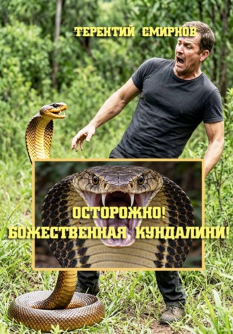 Терентий Смирнов (Эзотерик). Осторожно! Божественная Кундалини! Книга Вторая