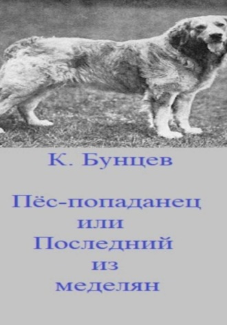 Пёс-попаданец, или Последний из меделянок. Константин Эдуардович Бунцев